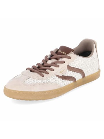 Tamaris Schnürhalbschuh in braun