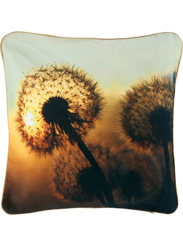 Erwin Müller Baumwolle Kissenhülle in Pusteblume