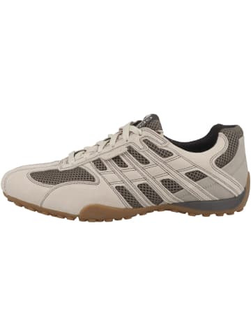 Geox Sneaker low U Snake Original A in creme