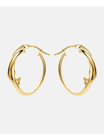 Vanlere Creolen aus 375 Gelbgold
