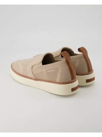 Gant Sneaker in Beige