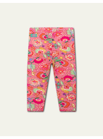 Oilily Peppy Legging in Rosa
