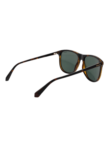 Polaroid Männer Sonnenbrille Panto Braun