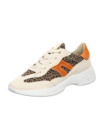 DL-Sport Sneaker Low in Animal