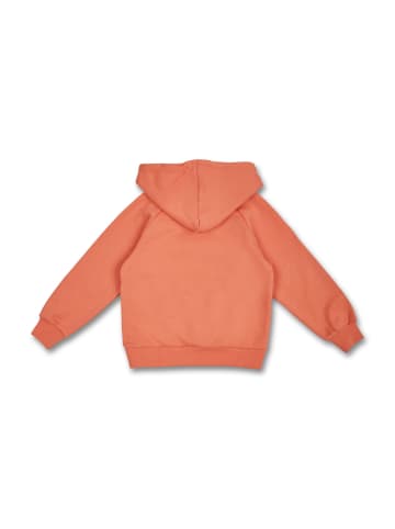 MANITOBER Basic Hoody in Peach