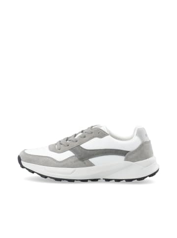 Bianco Sneakers in Grey
