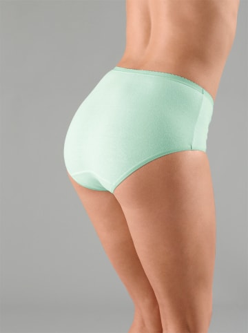 WITT WEIDEN Taillenslip in farbig-sortiert