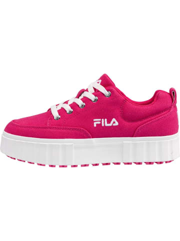 Fila Sneaker "Sandblast C Women" in Pink