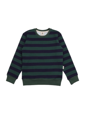 Walkiddy Sweatshirt Green Lines-Sweatshirt