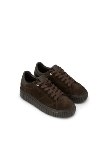 Marc O'Polo Sneaker Model Svenja in Burnt Coffee