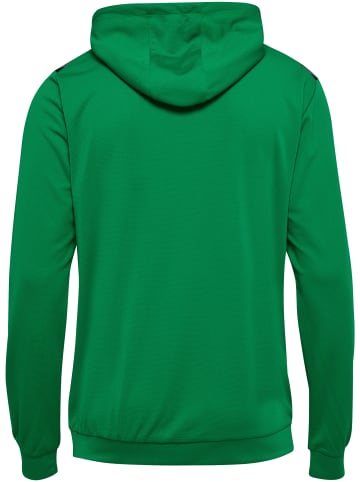 Hummel Kapuzenpullover Hmlauthentic Herren in JELLY BEAN