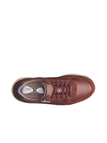 Joya Schnürschuh Dynamo Zip in Dark Red