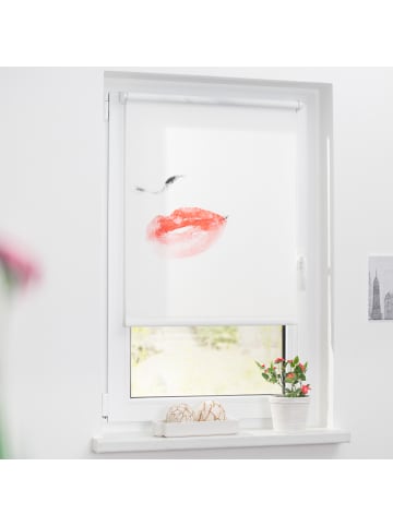 Lichtblick Seitenzugrollo in Weiß