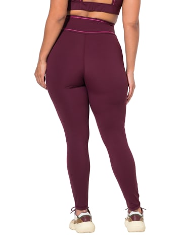 Ulla Popken Leggings in dunkle pflaume