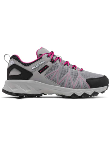 Columbia Wanderschuhe PEAKFREAK II OUTDRY in monument-wild