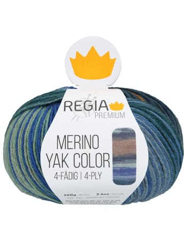 Regia Handstrickgarne Premium Merino Yak Color, 100g in Meadow gradient color