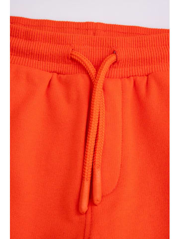 Coccodrillo Jogginghose in rot