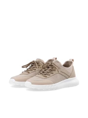 Bianco Sneakers in Nougat