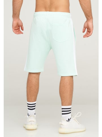 SOULSTAR Sweat-Shorts PRAG in Mint