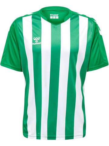 Hummel T-Shirt Hmlcore Herren in JELLY BEAN/WHITE