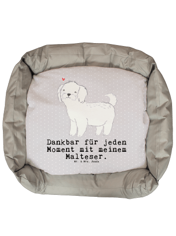 Mr. & Mrs. Panda Hundebett Malteser Moment mit Spruch in Grau Pastell