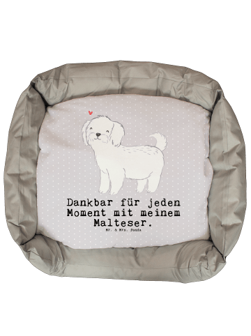 Mr. & Mrs. Panda Hundekörbchen Malteser Moment mit Spruch in Grau Pastell