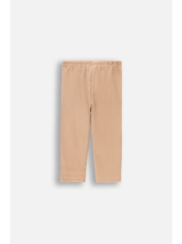 Coccodrillo Leggings mit langem Hosenbein in beige