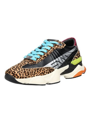 Steve Madden Sneaker in Leopard