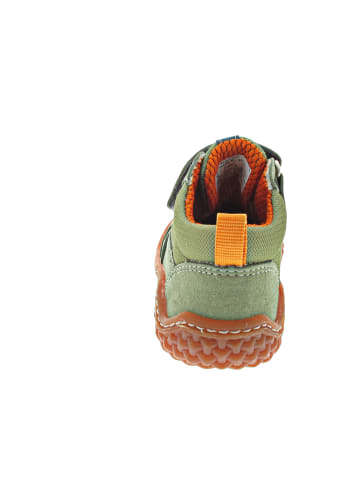 Ricosta PATSY Lauflern Grün