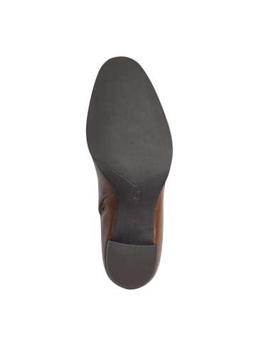Marco Tozzi Klassische Stiefeletten in Braun
