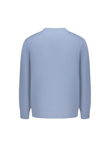 Blau Baumwolle Herren Sweatshirt