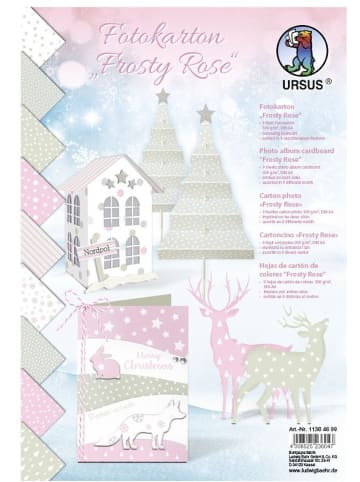 Buntpapierfabrik Ludwig Bähr Fotokarton Frosty rose 300g/qm A4 Packung mit 9 Blatt sortiert