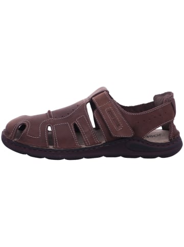 Josef Seibel Herren-Sandalen Sandale in Braun