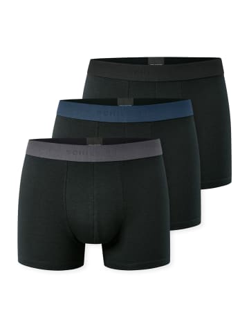 Schiesser Trunk 95/5 Multipacks in sortiert 2