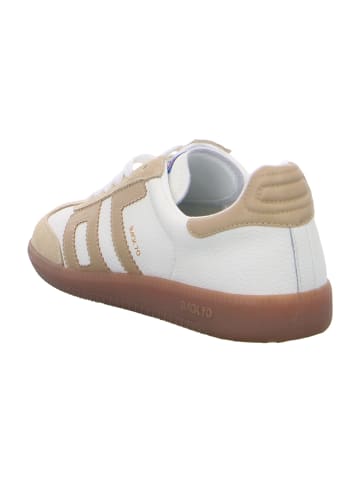 Back 70 Sneaker Low in Beige