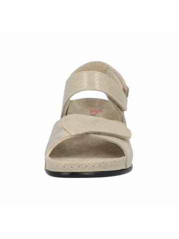 Berkemann Sandalen für Damen in beige