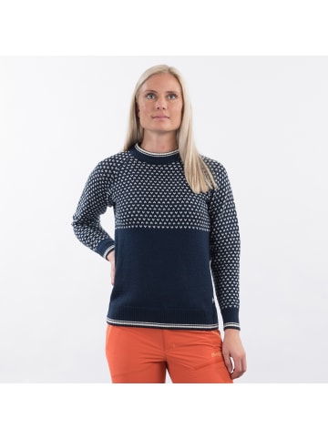 Bergans ALVDALWOOLW JUMPER in Blau