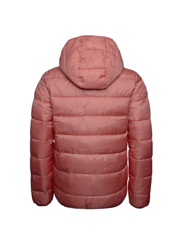 Champion Winterjacke Hooded in pink