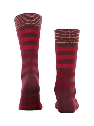 Burlington Socke Blackpool SO in Coralred