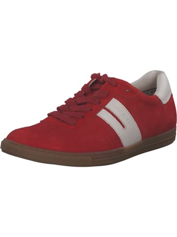 Paul Green Schnürschuhe in salsa/ivory
