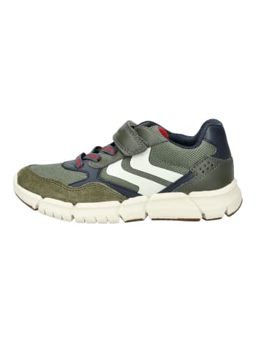 Geox Sneaker FLEXYPER FLEXYPER in Military