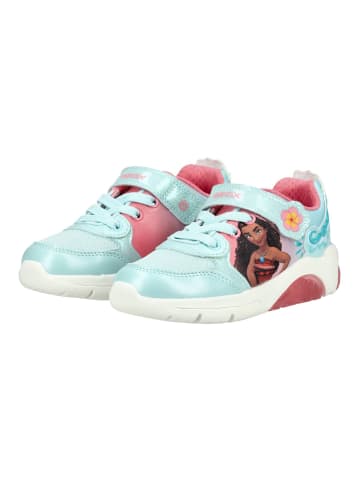 Geox Sneaker FADINLIGHT Türkis