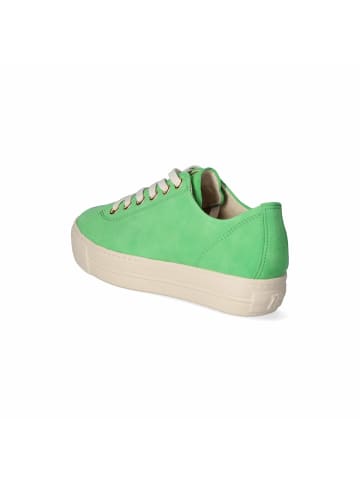 Paul Green Low Sneaker in Grün