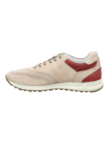 Josef Seibel Sneaker Thaddeus 10 in sand-kombi