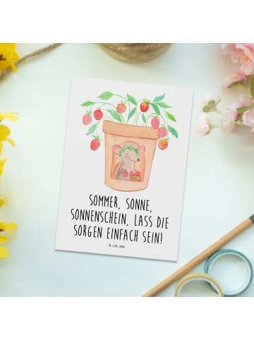 Mr. & Mrs. Panda Postkarte Sommerfreude mit Spruch in Weiß