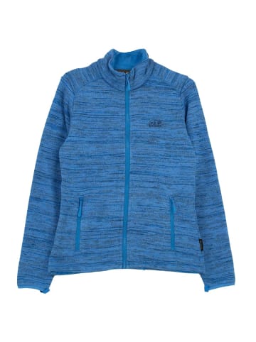 Jack Wolfskin Jacke Aquila Track Fleece in Blau