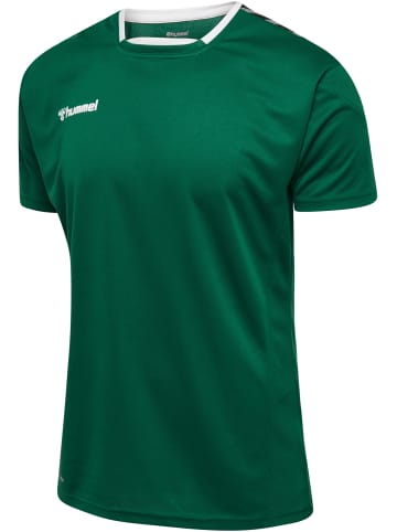 Hummel Hummel T-Shirt Hmlauthentic Multisport Kinder Atmungsaktiv Schnelltrocknend in EVERGREEN