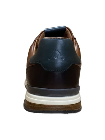Ambitious Sneaker Low in Braun