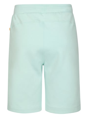 Petrol Industries Jersey-Jogging-Shorts Norte in Grün