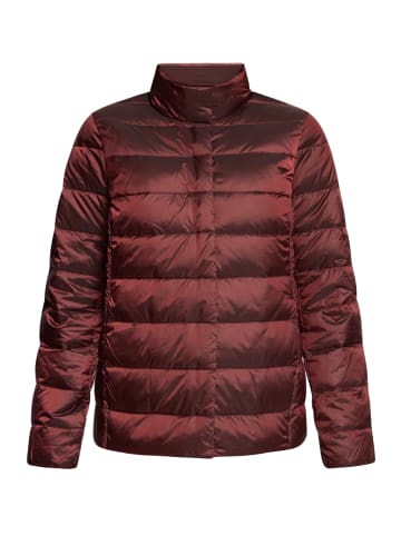 Betty Barclay Steppjacke in bordeaux